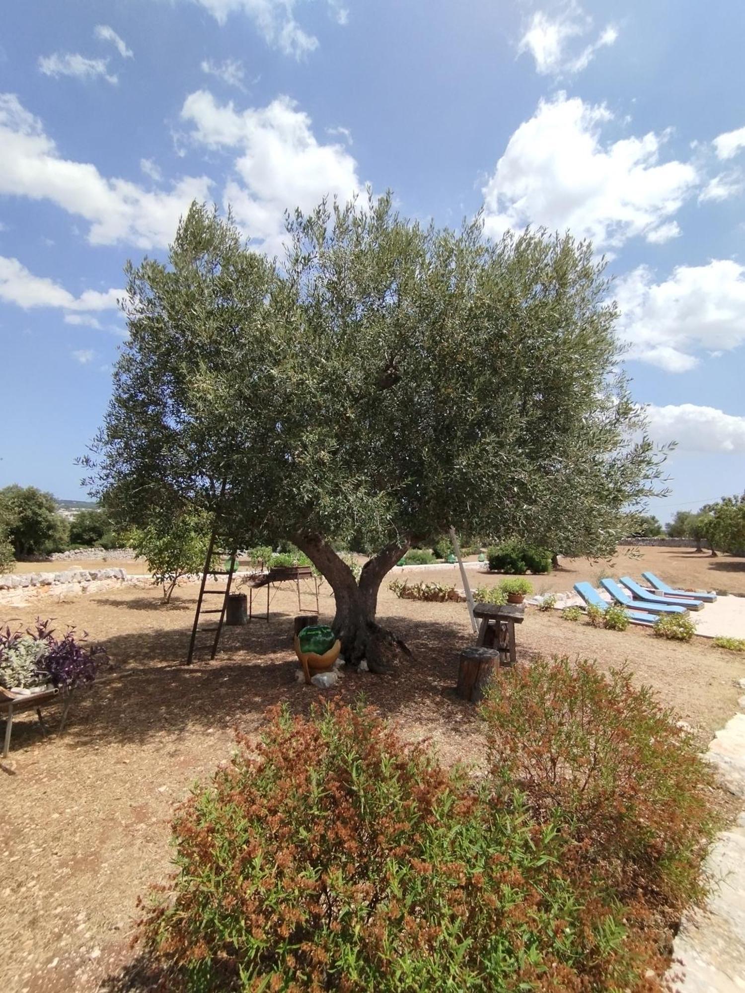 Trullo Gio Villa Cisternino Ngoại thất bức ảnh