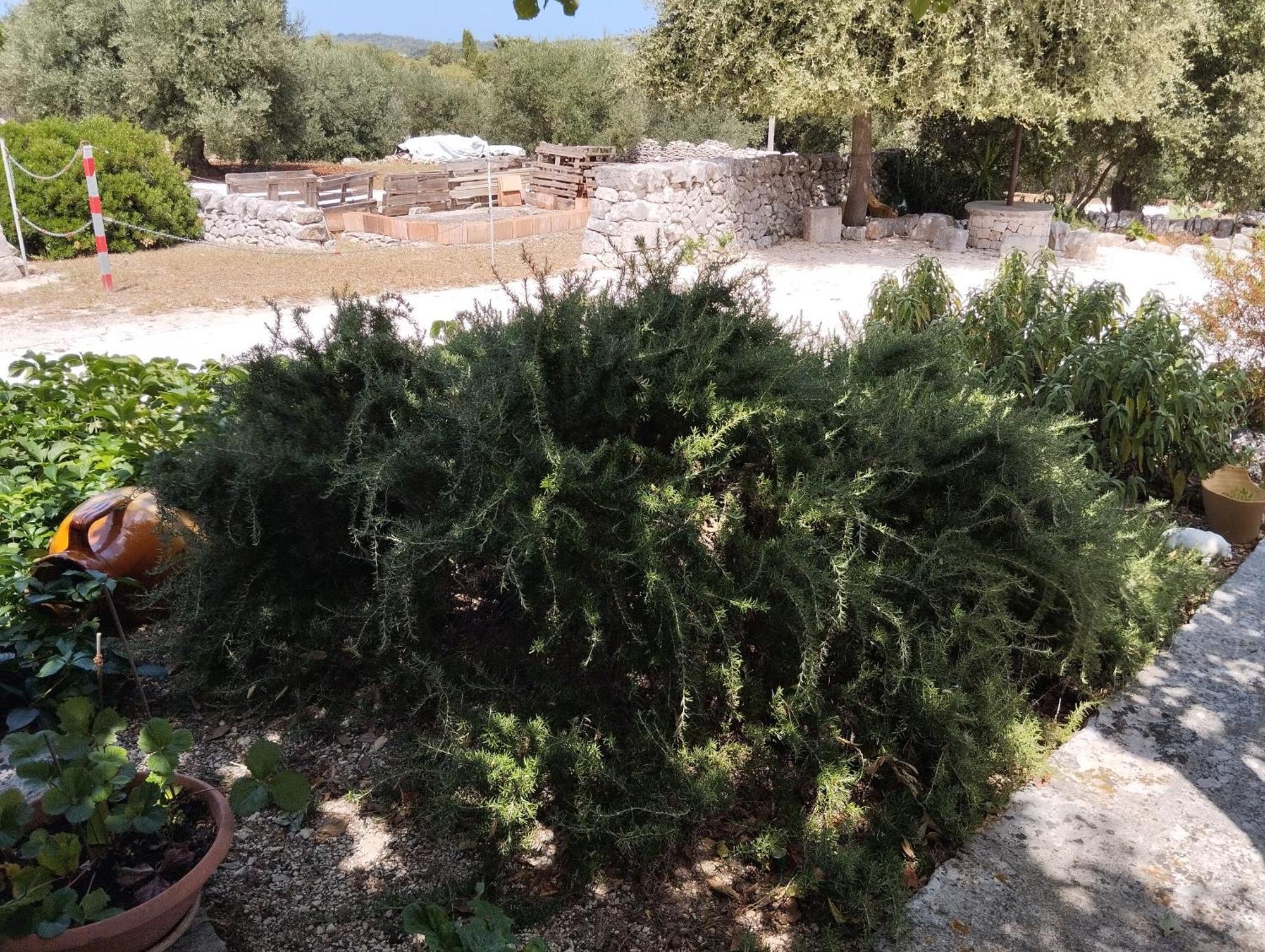 Trullo Gio Villa Cisternino Ngoại thất bức ảnh