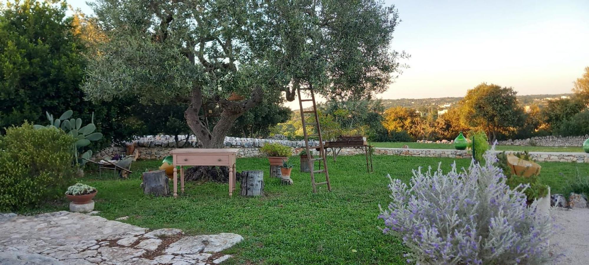Trullo Gio Villa Cisternino Ngoại thất bức ảnh