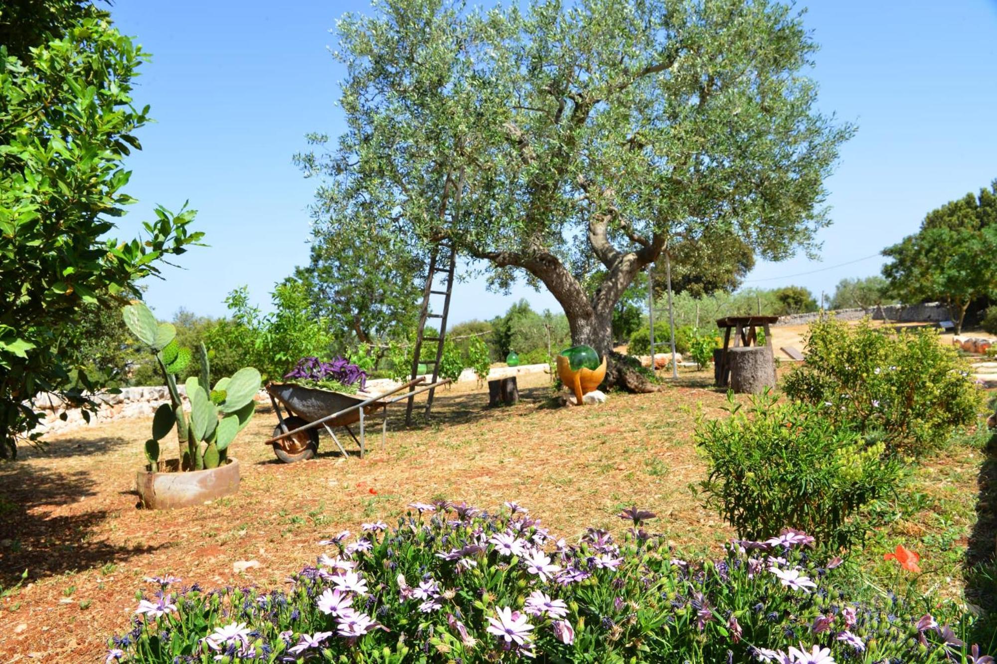 Trullo Gio Villa Cisternino Ngoại thất bức ảnh